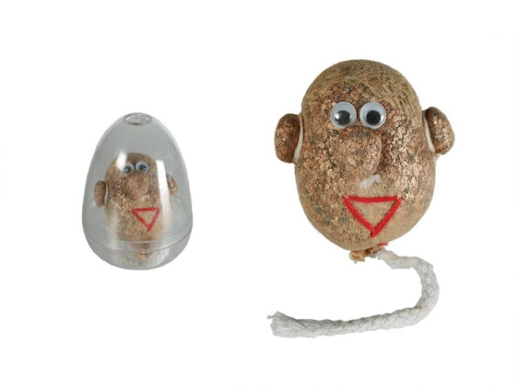 GŁOWA Z TRAWĄ PAN TRAWIASTOGŁOWY HODUJ TRAWĘ 1