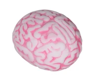 PIŁKA ŚCISKANIA MÓZG GNIOTEK ANTYSTRESOWY MÓŻDŻEK 5