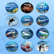 Figurki zwierzęta morskie - zestaw podwodny świat ocean zabawka  (5).jpg