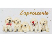 Zaproszenie ogólne, Pieski, 17x8,5 cm, 10 szt.