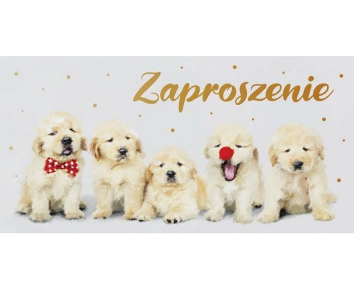 Zaproszenie ogólne, Pieski, 17x8,5 cm, 10 szt.