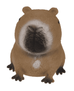 squeezie-sand-capybara-image-4.png