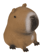 squeezie-sand-capybara-image-5.png