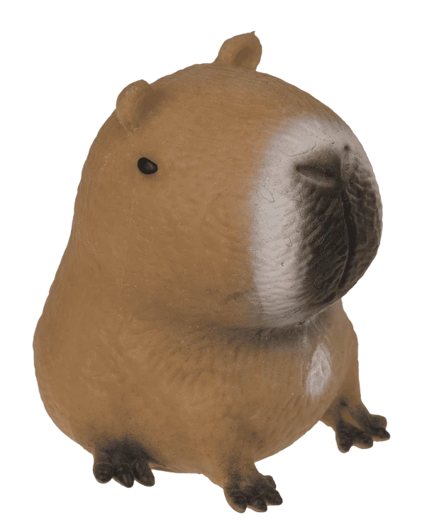 squeezie-sand-capybara-image-5.png