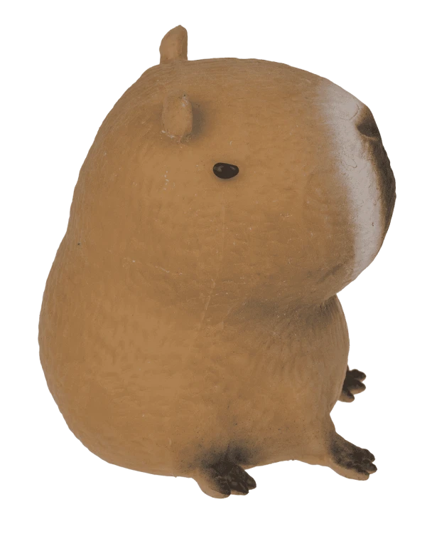 squeezie-sand-capybara-image-6.png