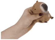 squeezie-sand-capybara-image-8.png