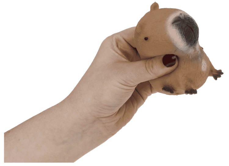 squeezie-sand-capybara-image-8.png