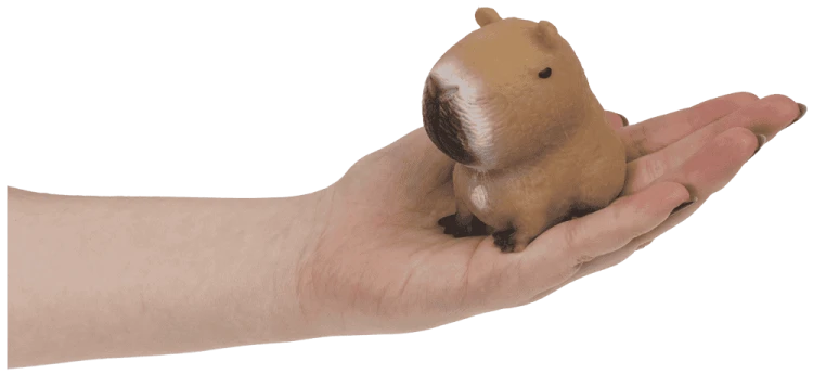 squeezie-sand-capybara-image-9.png