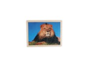 DREWNIANE PUZZLE DLA DZIECI W RAMCE DELFIN LEW KOŃ 1