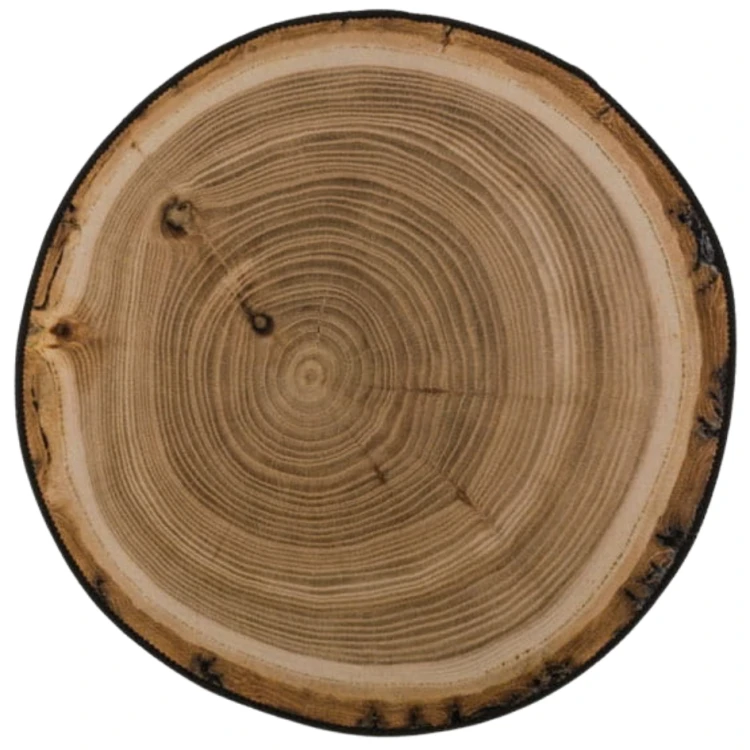 Dywanik dekoracyjny Pień drzewa 60cm okrągły dywan (2).png