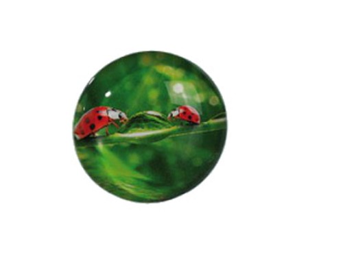 SZKLANY MAGNES SZCZĘŚLIWA BIEDRONKA LODÓWKĘ OKRĄGŁY 1