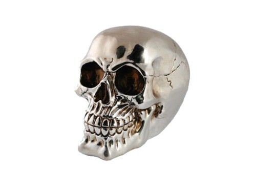 SKARBONKA CZASZKA TRUPIA CZACHA XL DUŻA BŁYSZCZĄCA 1