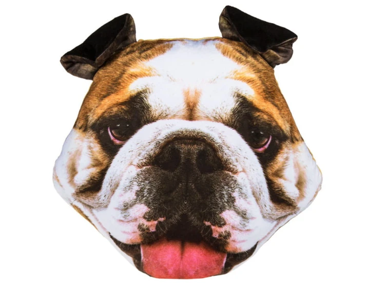 PODUSZKA BULDOG 40 CM PIES 3D USZAMI GŁOWA MASKOTKA