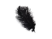 PIÓRKO EROTYCZNE ZE STRUSIA 20 CM GRA WSTĘPNA 1.jpg
