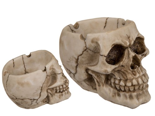 POPIELNICZKA CZASZKA TRUPIA CZACHA GŁOWA SZKIELET .jpg