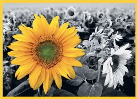 902aec0821fee090de076f68365a8cb4