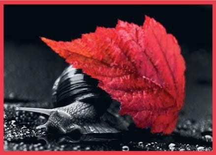 c67c24d99819e7dd0ceaf590161eb367