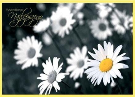 cef6764ae6ddd0d0332daabd2b9bc89a