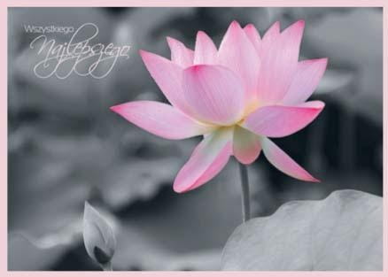 373a97766c4ba80fb555d35bc3191bbb