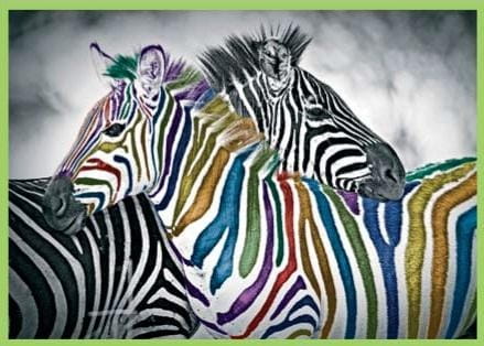 836be14bb51a3cc393172df84ad00cbb