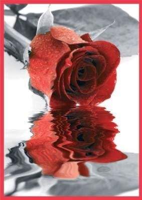 92c6d4f2cbdffaed6965ce8720cc8dbd