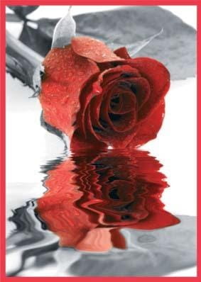 92c6d4f2cbdffaed6965ce8720cc8dbd