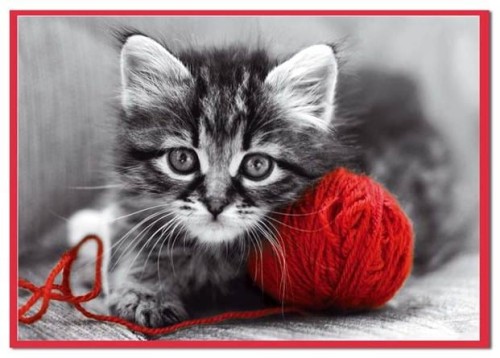 79a8c2de4a1ca875426376cfd01f91aa