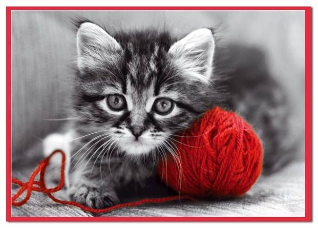 79a8c2de4a1ca875426376cfd01f91aa