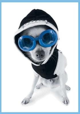 9a7c6649d548464a3c960530fa20fab2