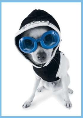 9a7c6649d548464a3c960530fa20fab2