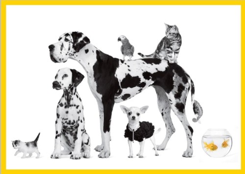 aaa80fa02527447ebeb340512b4e971d