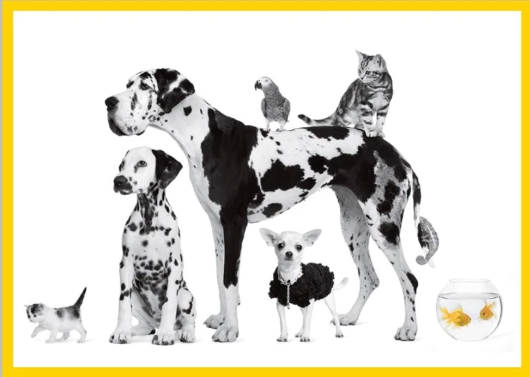 aaa80fa02527447ebeb340512b4e971d