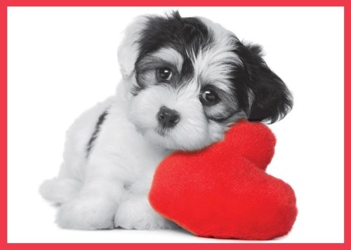 ec93e4ab50c33956b455eb6bb9f76e72