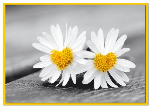 b7227f1a946abd3ac63268d7c82f9dd4