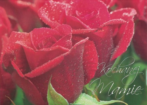 247468070afe8fc0c14acc0a0e958e64