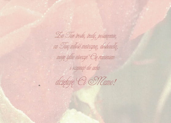 e25e0987d48b57f341eee07da7c47a8b