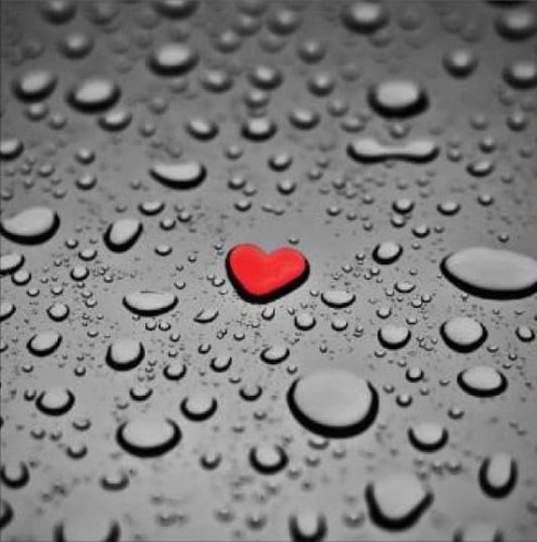 1cc04871499a34e369ed23c86731da16