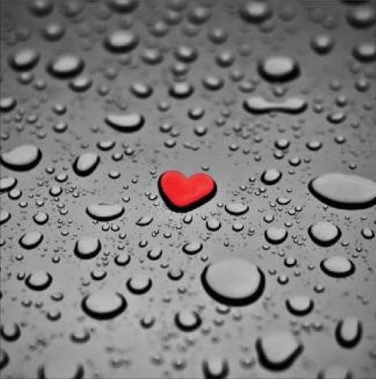 1cc04871499a34e369ed23c86731da16