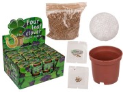 CZTEROLISTNA KONICZYNKA WYHODUJ SAM HODOWLA 3.jpg