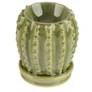 KOMINEK do olejków kaktus ZAPACHOWYCH PACHNĄCYCH 1.jpg