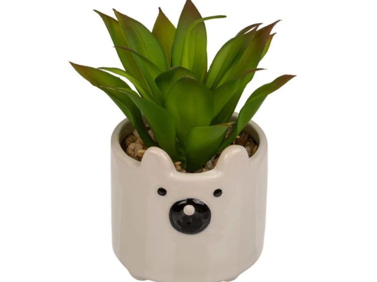 ROSLINA w doniczce buźka zwierzaka PANDA MIŚ kwiat 1.jpg