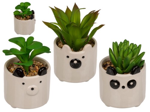 ROSLINA w doniczce buźka zwierzaka PANDA MIŚ kwiat 2.jpg