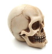 Figurka CZASZKA 7 cm - dekoracja CZACHA SZKIELET 1.jpg