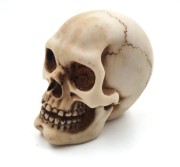 Figurka CZASZKA 7 cm - dekoracja CZACHA SZKIELET 2.jpg