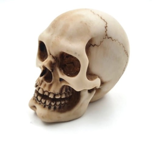 Figurka CZASZKA 7 cm - dekoracja CZACHA SZKIELET 2.jpg