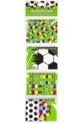 KOŁONOATNIK piłka nożna mix NOTES NOTATNIK piłkarz 3.jpeg