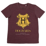 PIŻAMA Harry Potter LICENCJA 8-14 lat Gryffindor 2.jpg