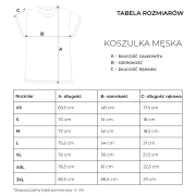 Koszulka męska Harry Potter czarna T-shirt  (3).jpg