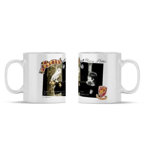 Ceramiczny kubek Harry Potter Hedwiga i Harry (1).jpg