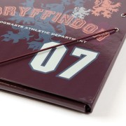 Teczka szkolna A4 Harry Potter Gryffindor notatki (3).jpg
